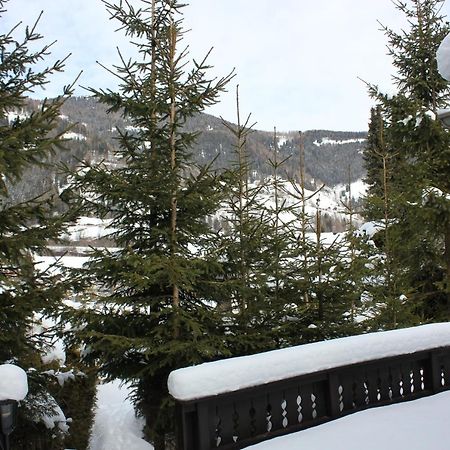 Chalet Heidi Bkk Bad Kleinkirchheim Exteriér fotografie